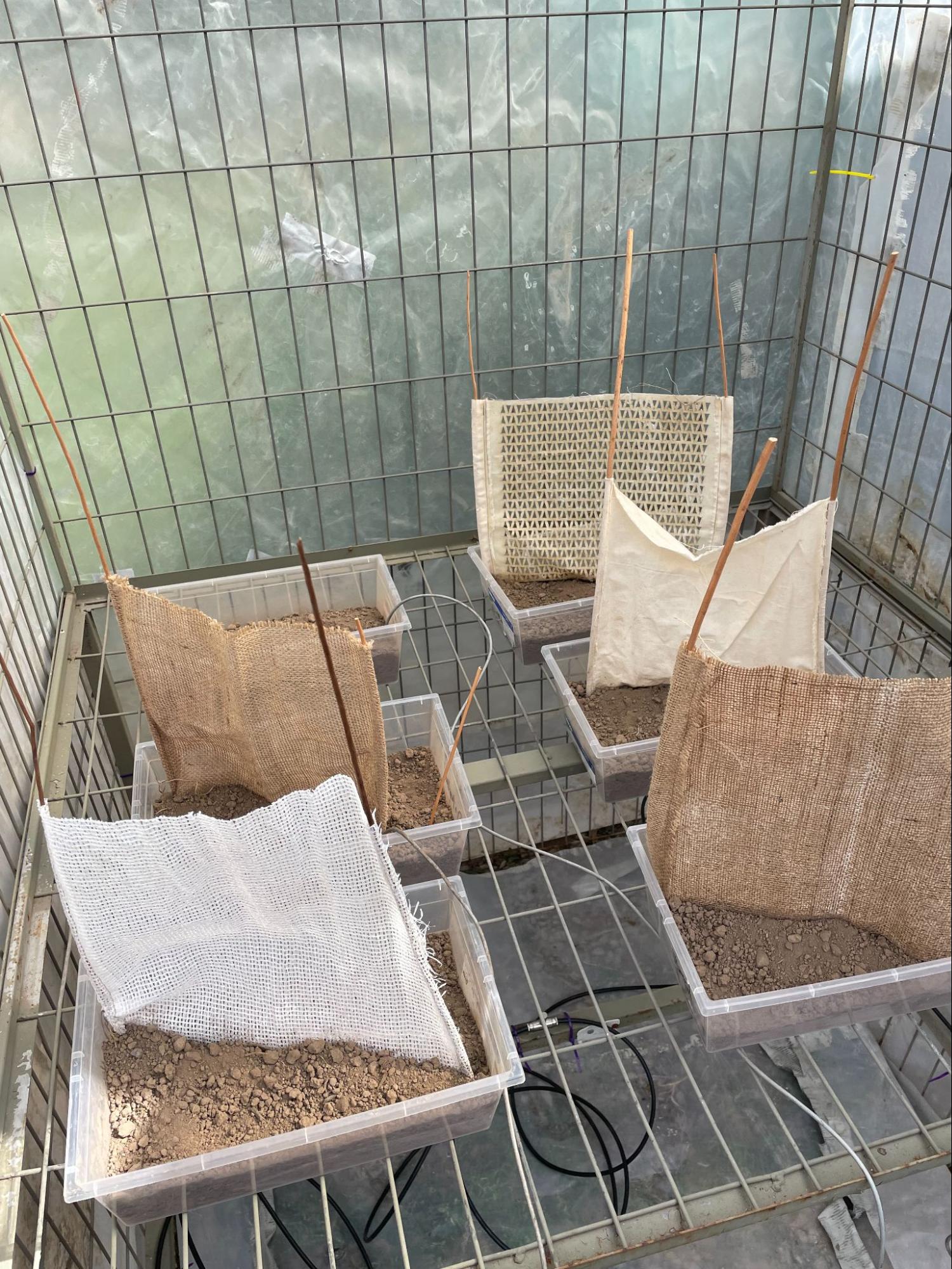 Fog experiment setup: fabric samples in containers inside fog chamber