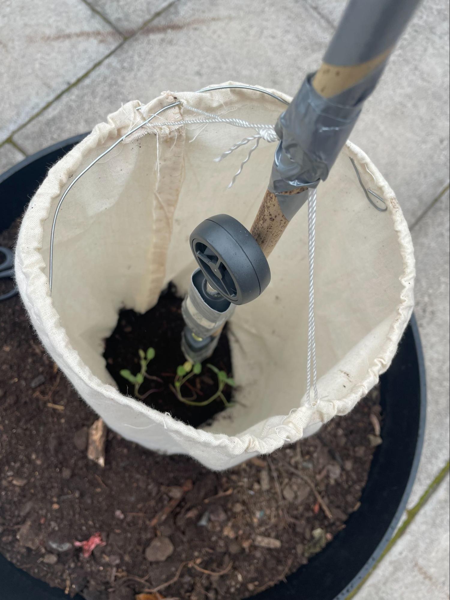 Temperature sensor inside fabric tree shelter