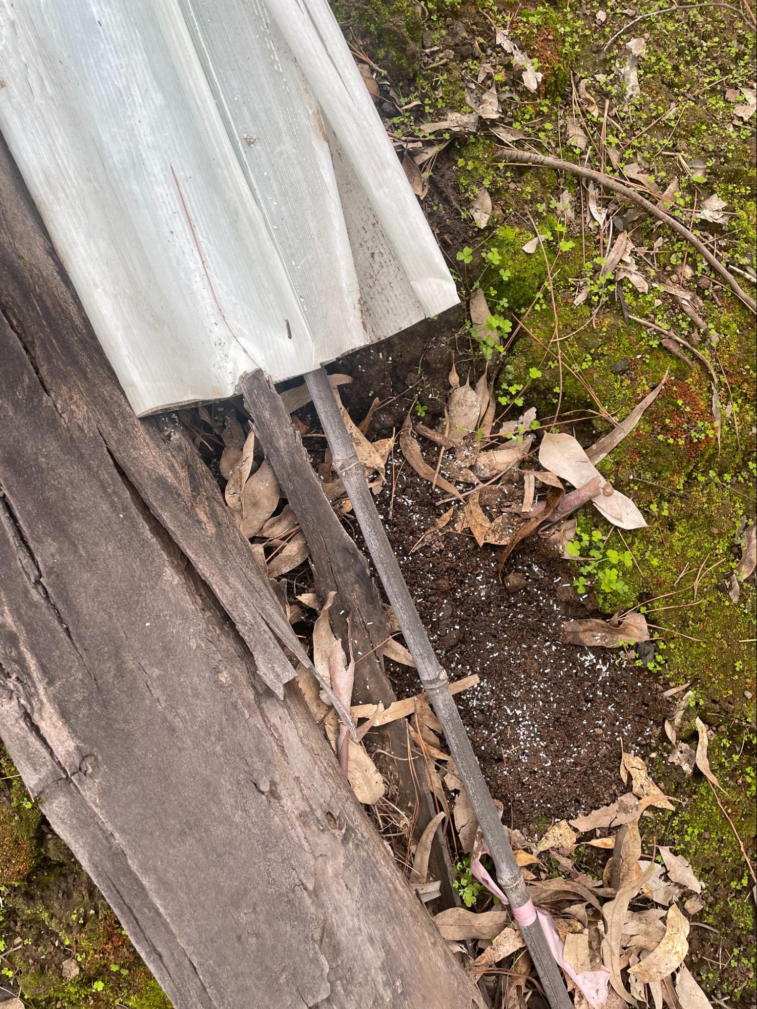 Microplastic pieces from plastic tree shelter in the soil